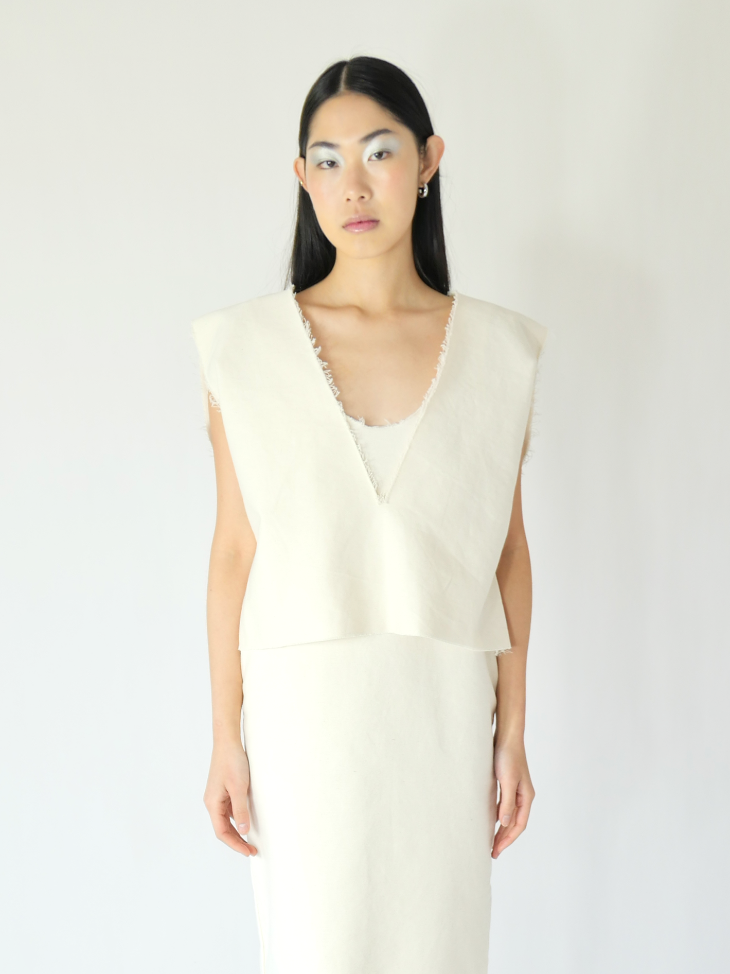 DISQ VEST in cloud