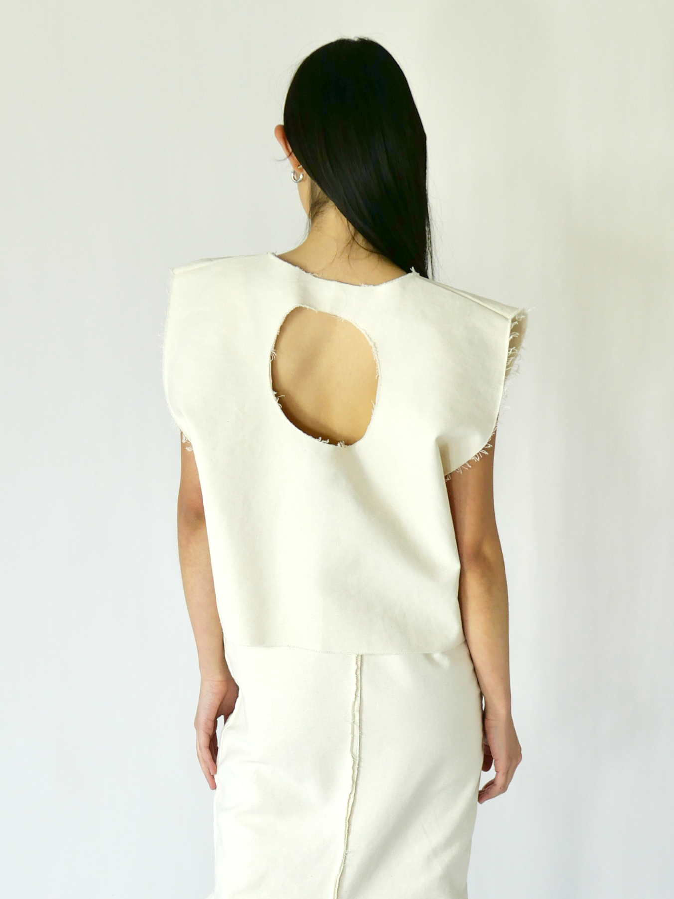 DISQ VEST in cloud