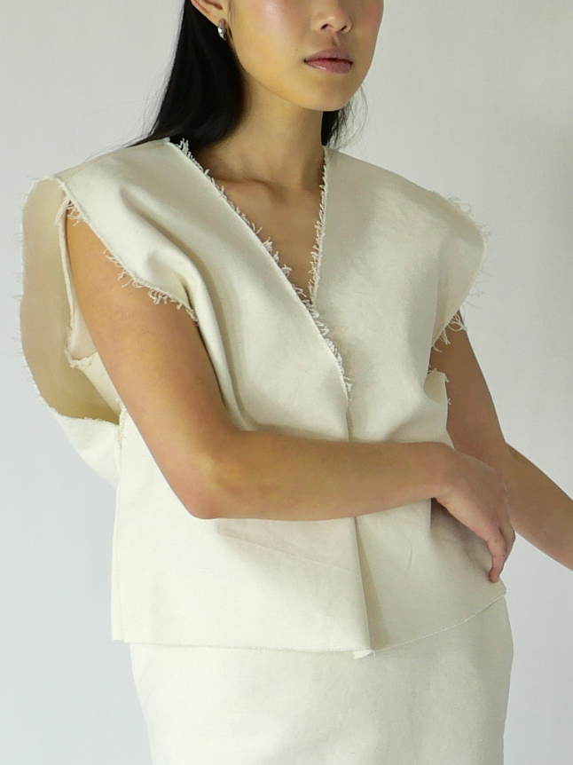 DISQ VEST in cloud