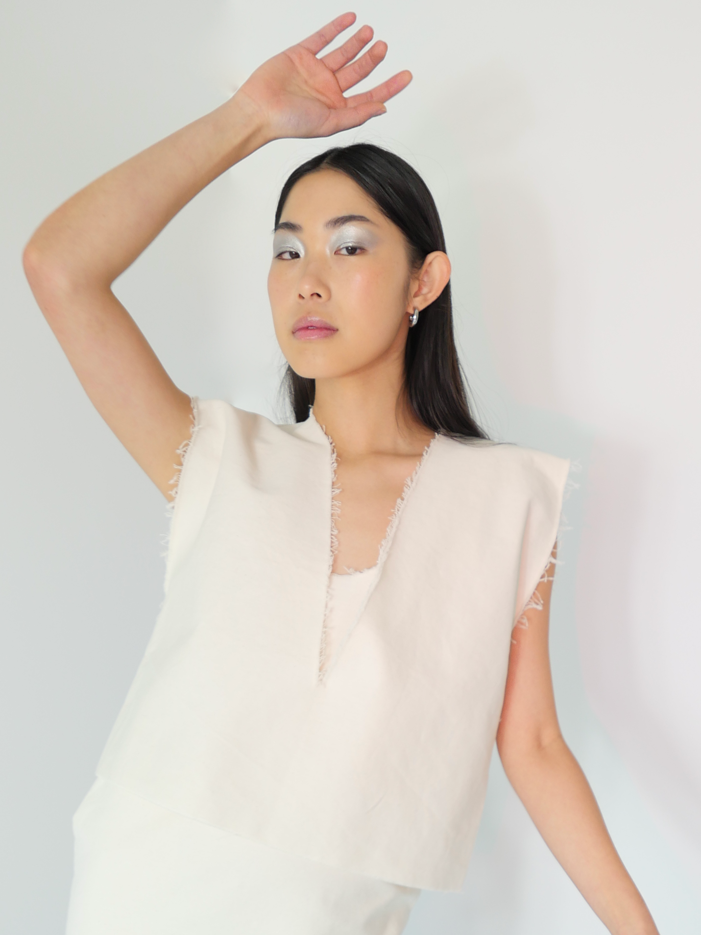 DISQ VEST in cloud
